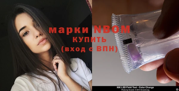 ешки Аркадак