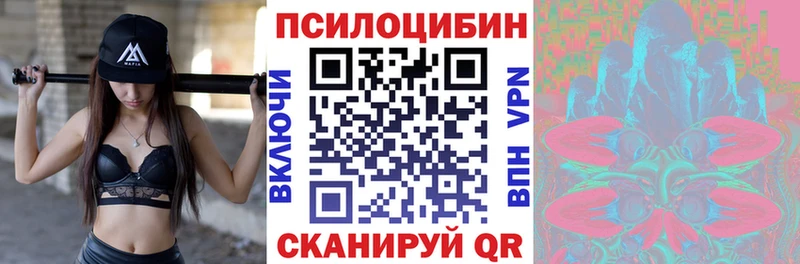 Галлюциногенные грибы Psilocybe  блэк спрут онион  Безенчук 